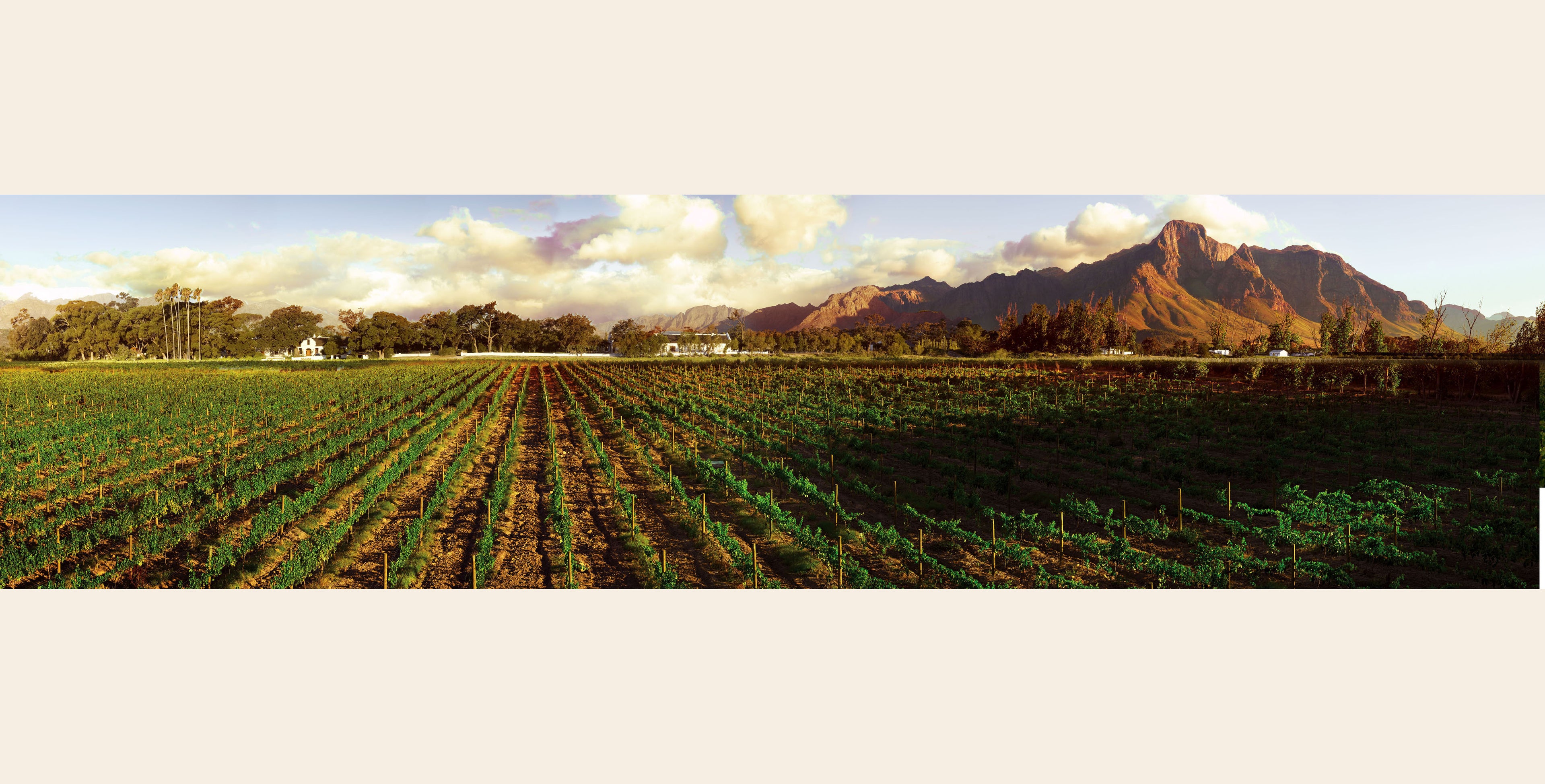 Panoramic view of the Safriel House wine country